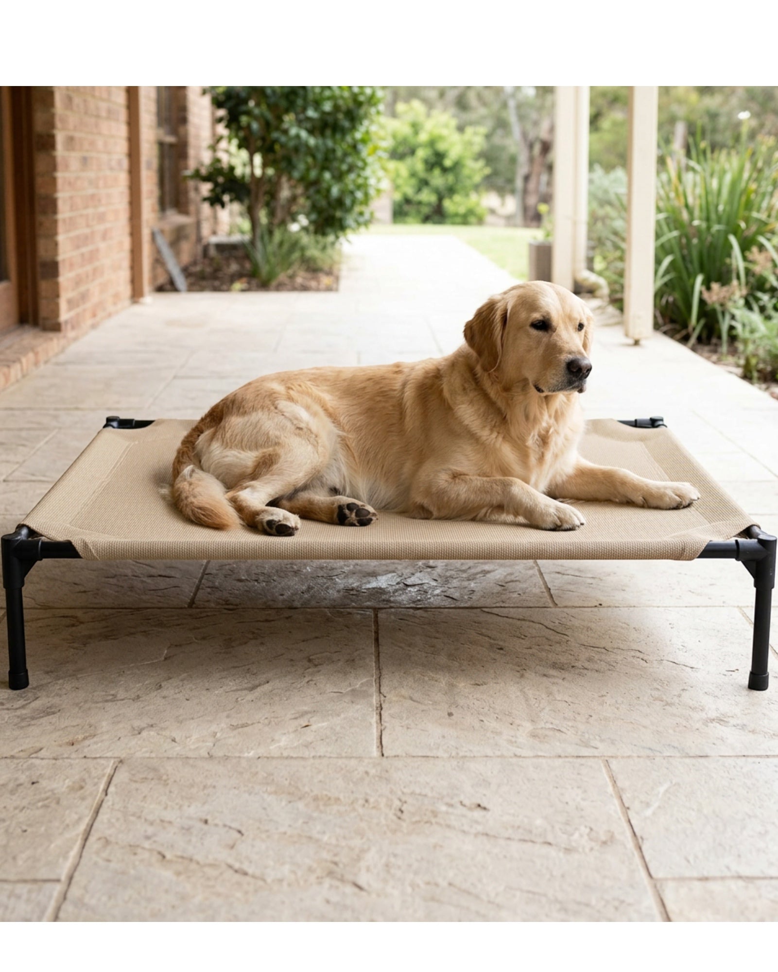Fznex Large Elevated Mesh Dog Bed 120 x 85 cm Sand - Lifestyle view