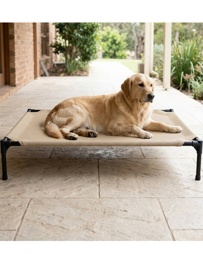Fznex Large Elevated Mesh Dog Bed 120 x 85 cm Sand - Lifestyle view