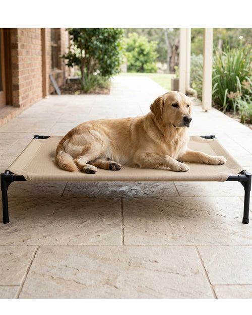 Fznex Large Elevated Mesh Dog Bed 120 x 85 cm Sand - Lifestyle view