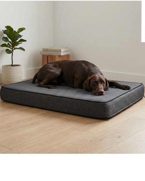 Fznex Large Layered Foam Dog Bed 110 x 80 cm Charcoal - Lifestyle view